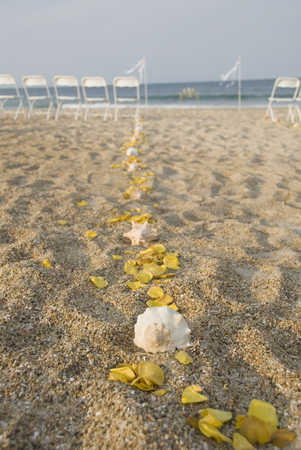 beach wedding aisle ideas