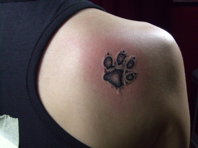 henna tattoo -cat paw prints. Animal Paw Prints – Dogs, cats, tigers,